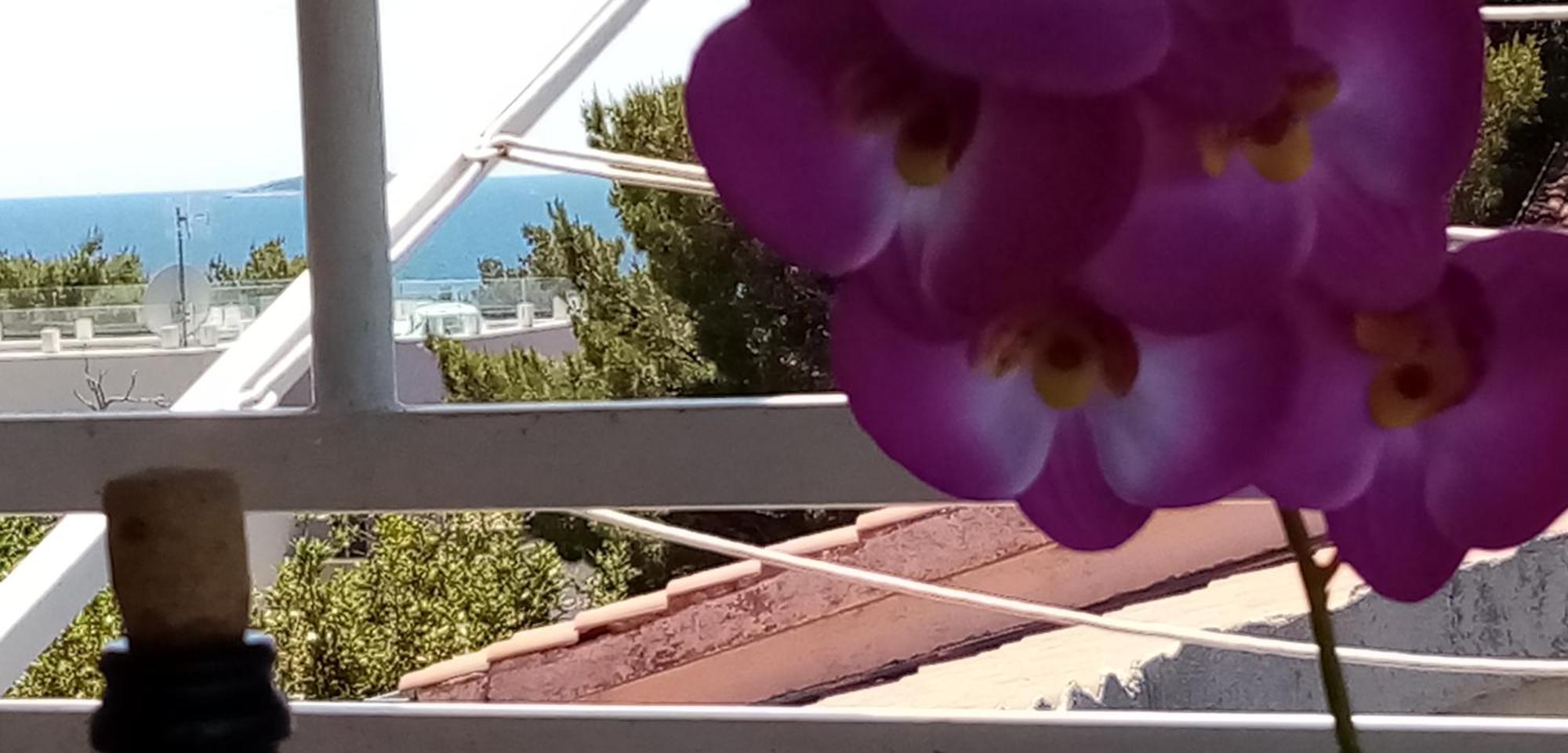 Apartments Bilo Near プリモシュテン 部屋 写真
